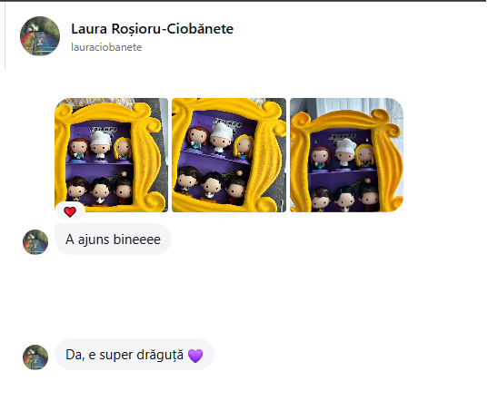 Product photo from Laura Rosioru-Ciobanete
